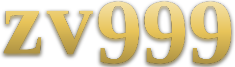 zv999 logo